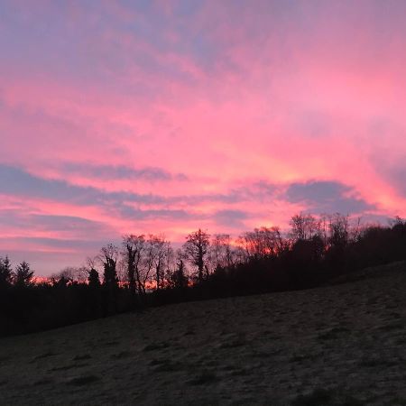 벨파스트 Forest View - Castlewellan, County Down 아파트 외부 사진