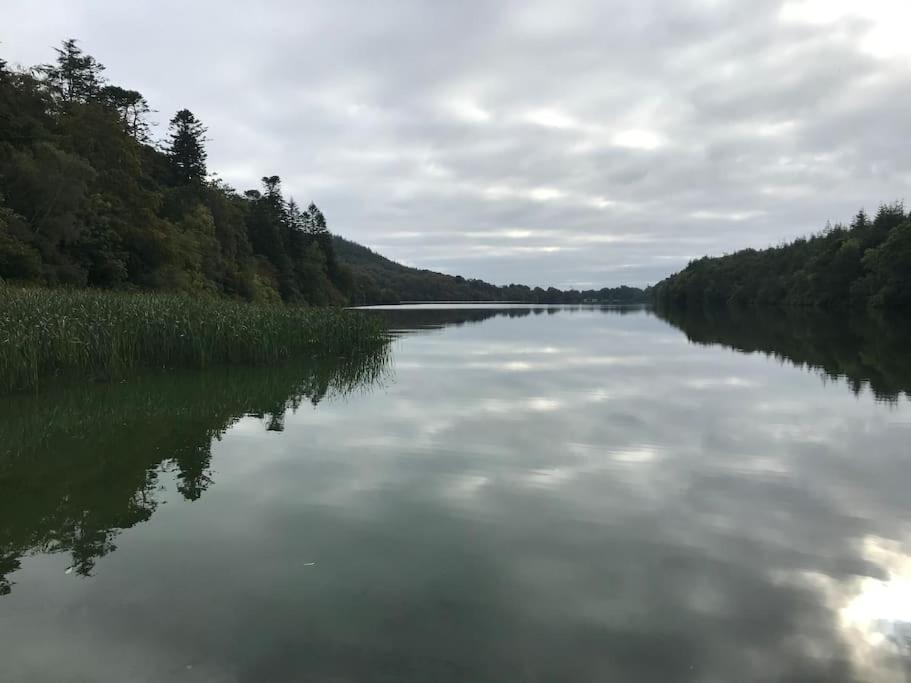 벨파스트 Forest View - Castlewellan, County Down 아파트 외부 사진