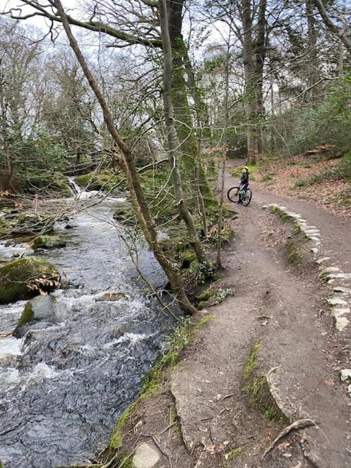 벨파스트 Forest View - Castlewellan, County Down 아파트 외부 사진