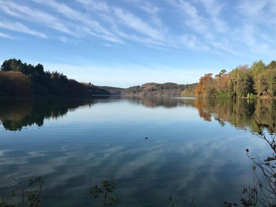 벨파스트 Forest View - Castlewellan, County Down 아파트 외부 사진