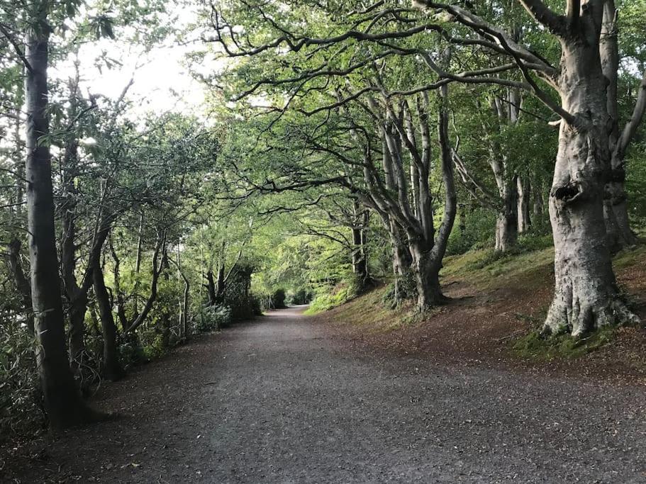 벨파스트 Forest View - Castlewellan, County Down 아파트 외부 사진